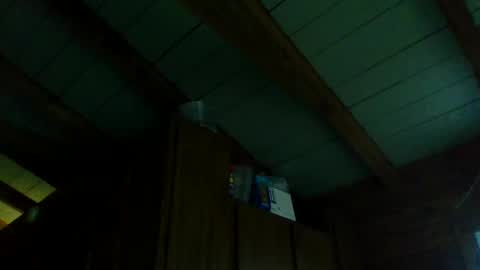 ripperusa33 stream preview