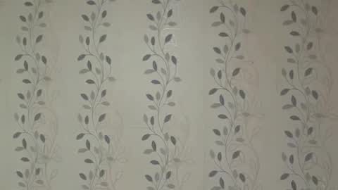 robbimckoy live stream