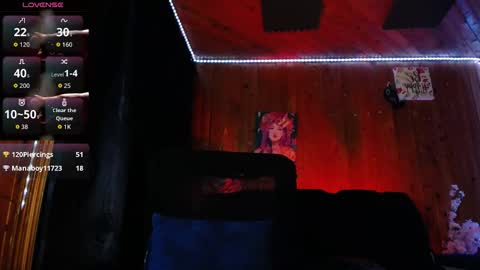 robin__nj stream preview