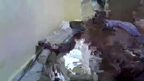 roystonne3 live stream