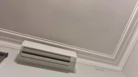 rusty6686 stream preview