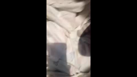 ryk24 stream preview