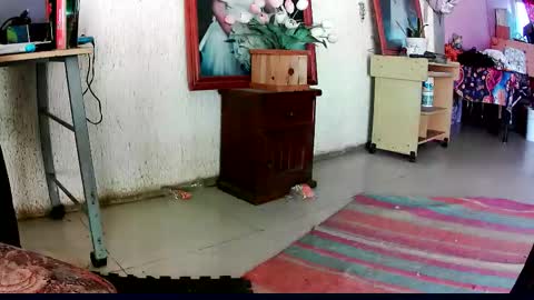 sailor_ruby7 live stream