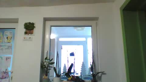 sedalingi92 stream preview