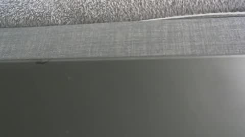 see_itcum stream preview