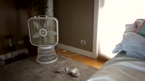 serenaluvx stream preview