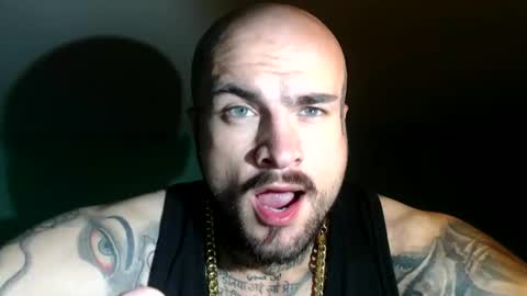 sevendragons1 stream preview