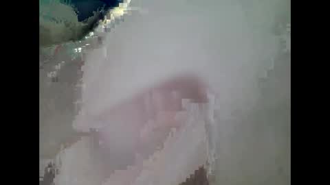 sexycat2500 stream preview