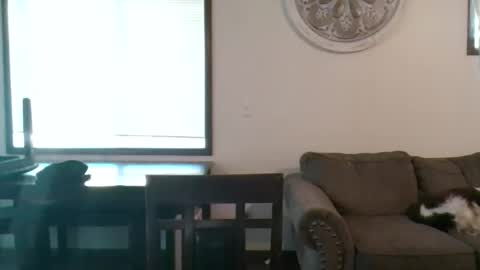 sexysully32 stream preview