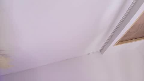 shaunadream_ stream preview