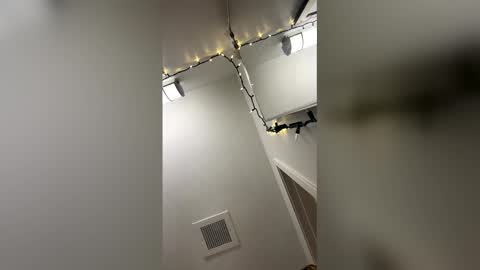 shelbsss17 stream preview