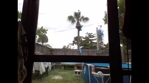 shelbyannn stream preview
