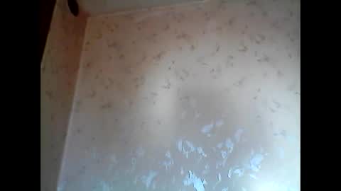 shootliker stream preview