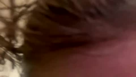 sierraamarie98 stream preview