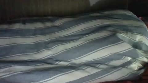 sircamalot45 stream preview