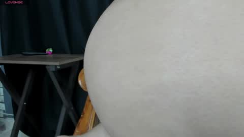 skilar_muse stream preview