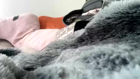 skyargriswell stream preview