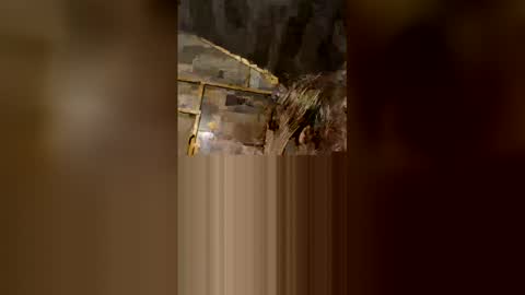 smileys123zz stream preview