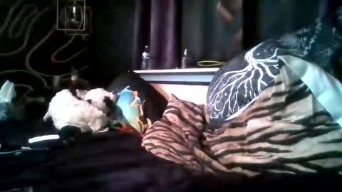 someoneprettycool stream preview