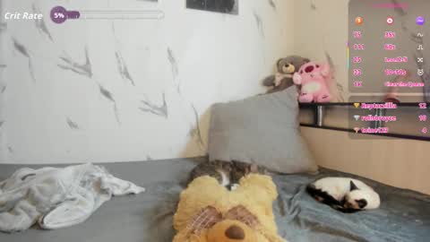 sophierayne_ live stream