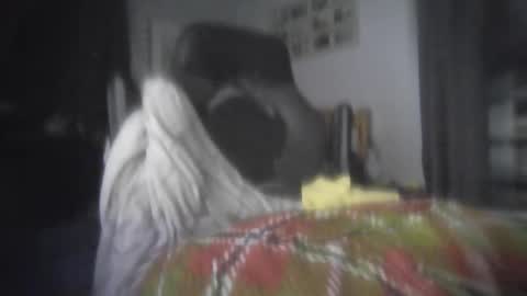southerncumlord stream preview