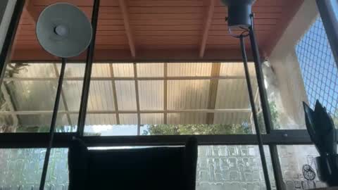 spenderal stream preview