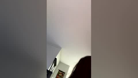 spipalina stream preview