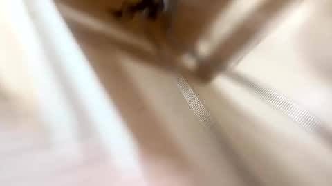 spotlight19955 stream preview