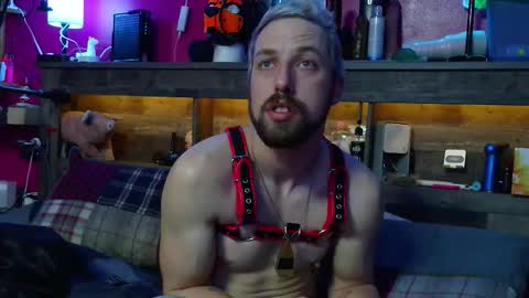 spunnysteve stream preview