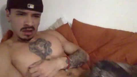 starmani4 stream preview