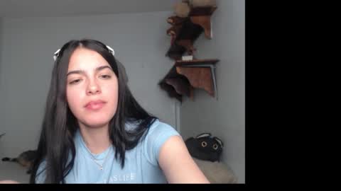 stella_art stream preview