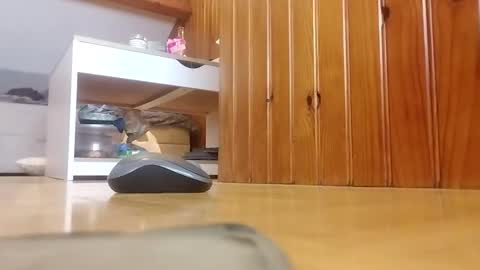 stephxp stream preview