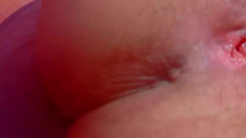 stifunivers_33 stream preview