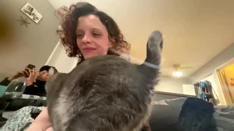 stitchb stream preview