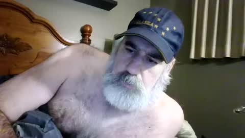 straightbear4you stream preview