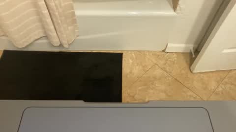 straightbuthey22 stream preview