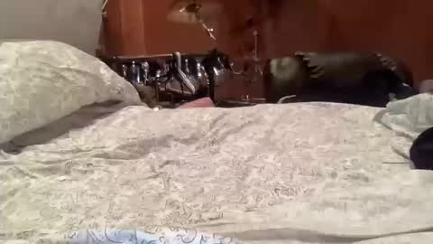 sucker_punk stream preview