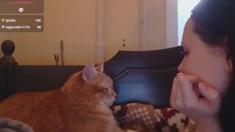 sun_sparkle stream preview