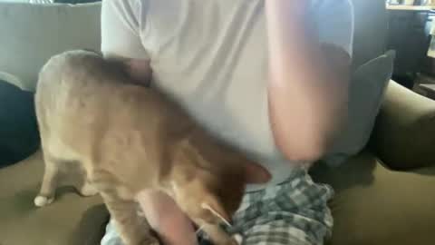 syndeyfoxxx67 stream preview