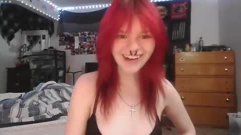 t3mpor4rybliss live stream