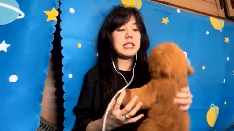 tamathaschloss stream preview