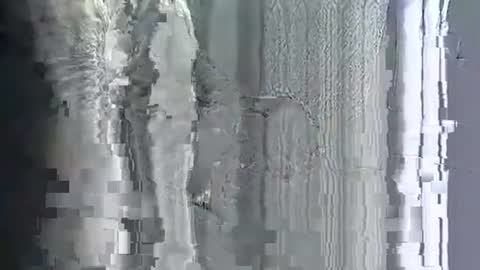 teelciara191 stream preview