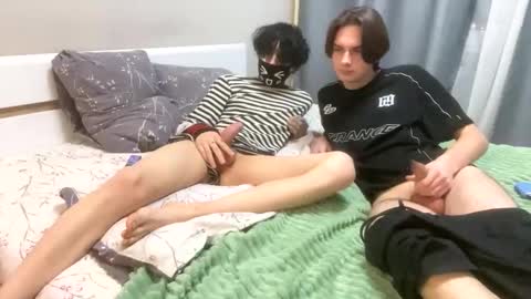 temihal stream preview