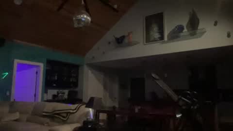 the_steele_zone stream preview