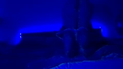 thebobcatsaysmeah live stream