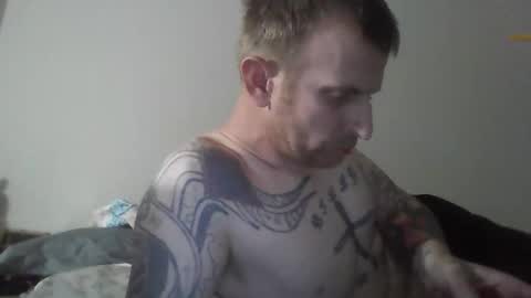 thehammer_cookie stream preview