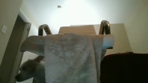 thickwhiteload stream preview