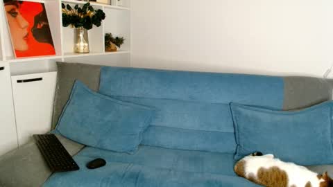 tiffquinn live stream