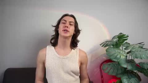 tipmex stream preview