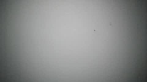 tjay30529 live stream